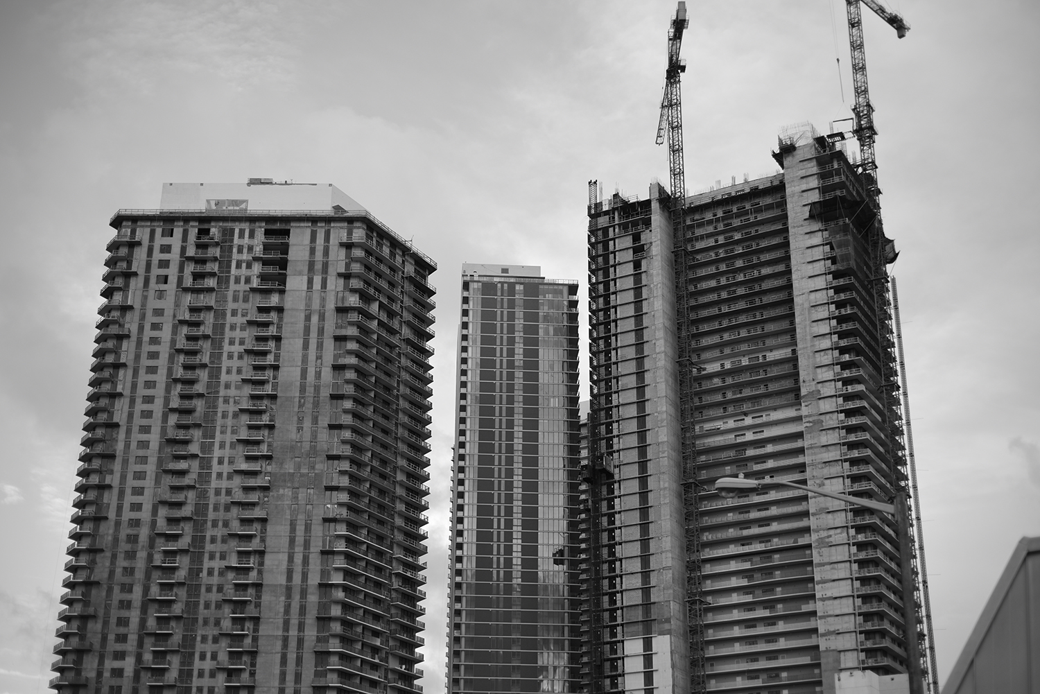 DSC_1649.JPG