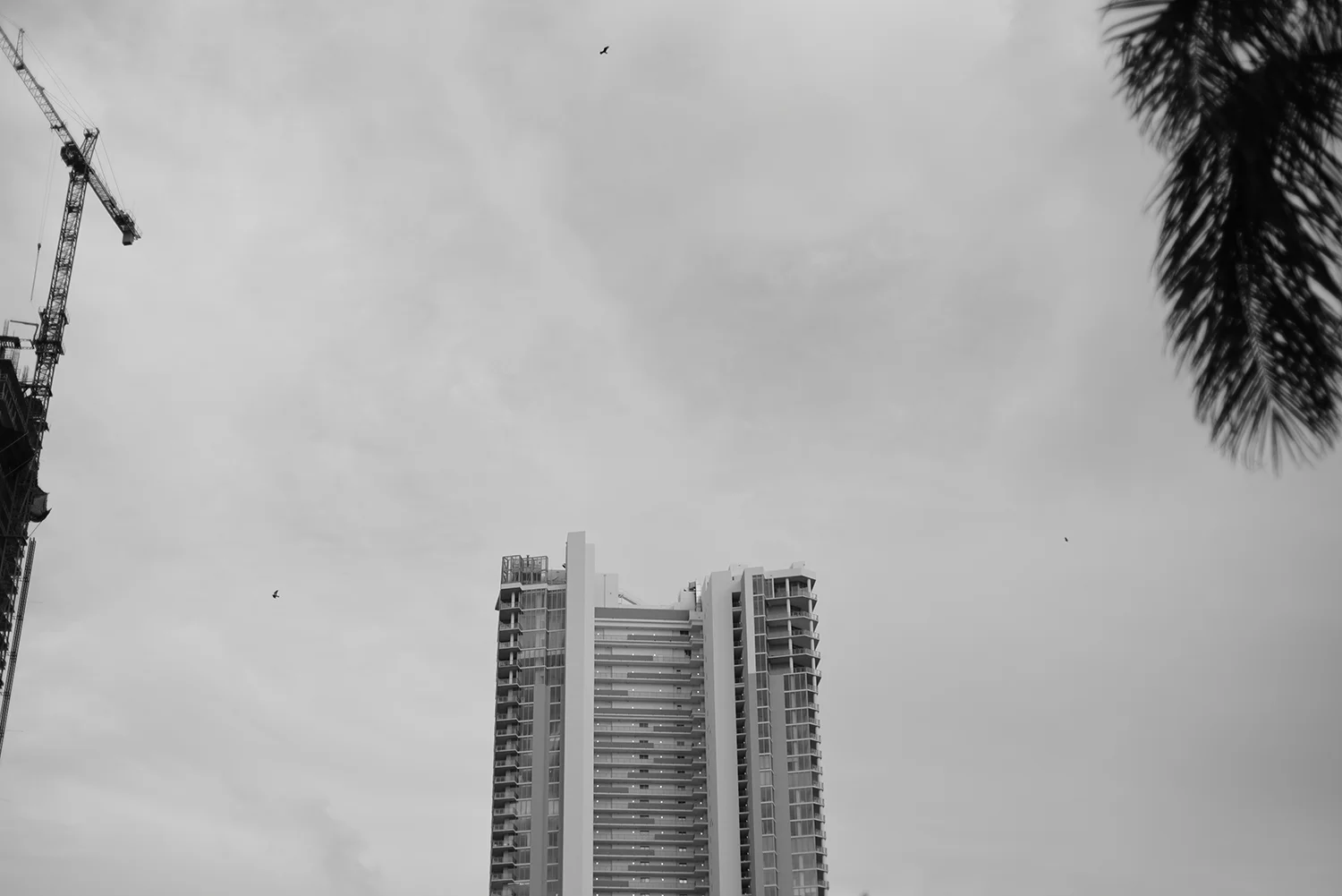DSC_1650.JPG