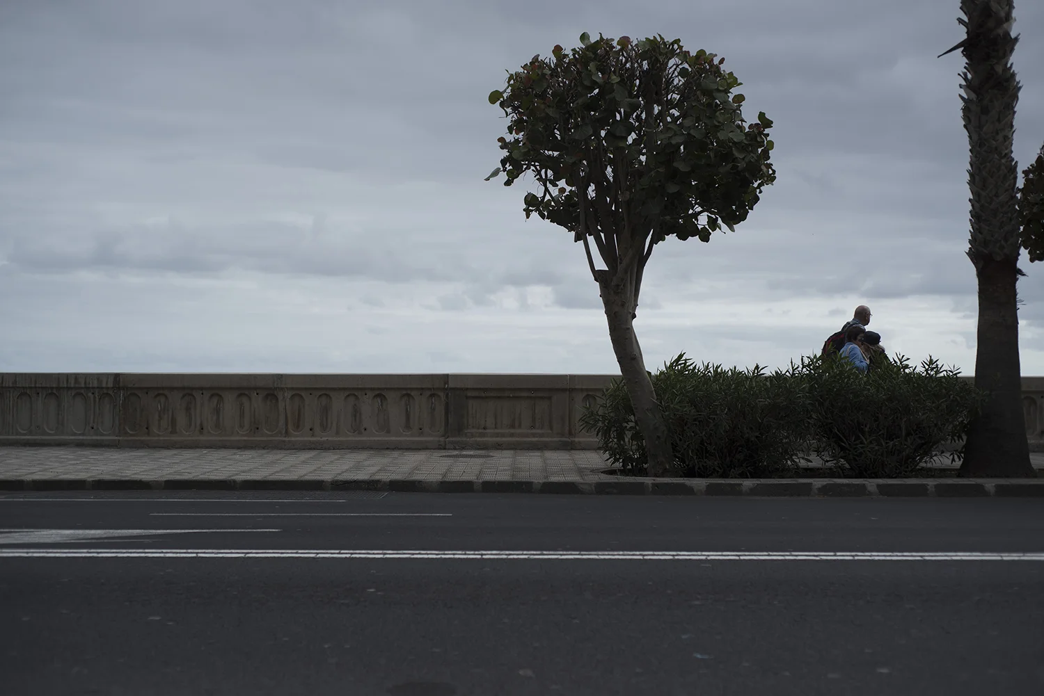 LaPalma_020.JPG