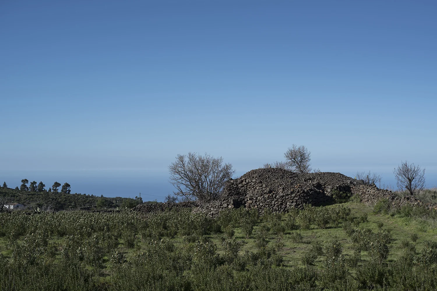 LaPalma_138.JPG