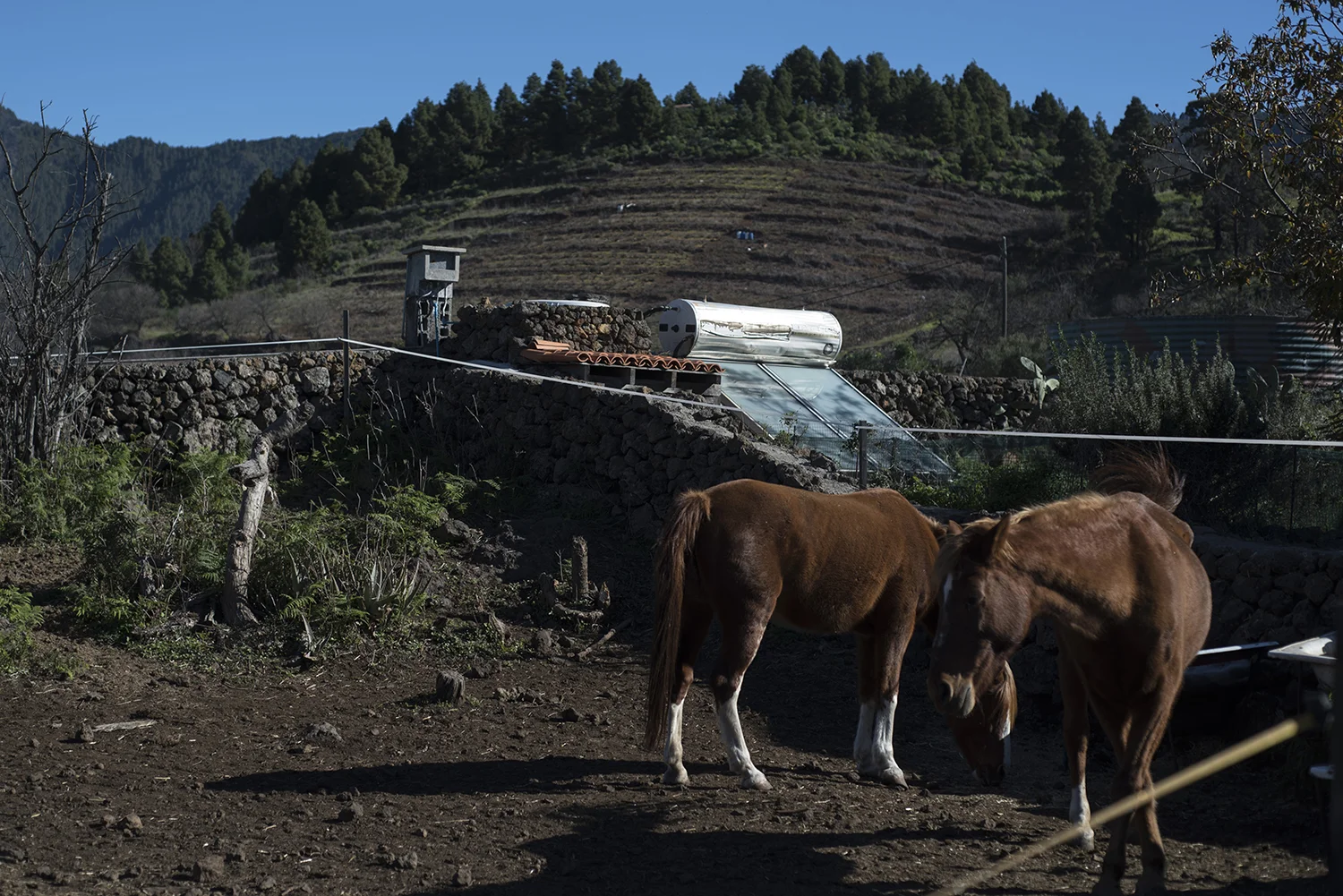 LaPalma_143.JPG
