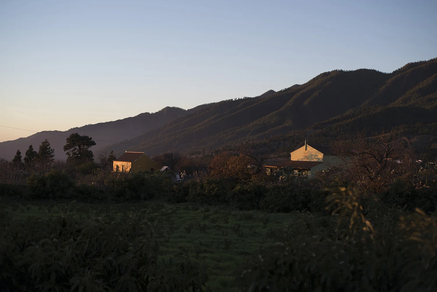 LaPalma_187.JPG