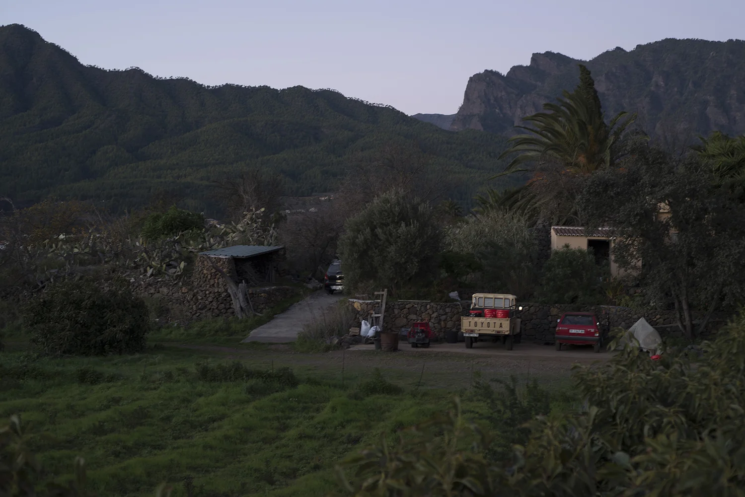 LaPalma_200.JPG