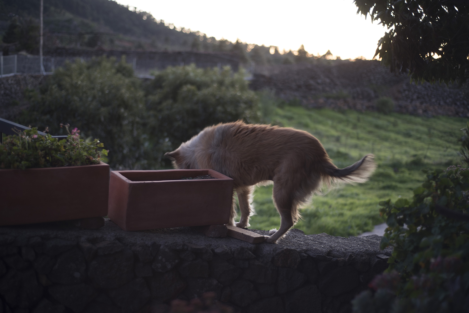 LaPalma_204.JPG