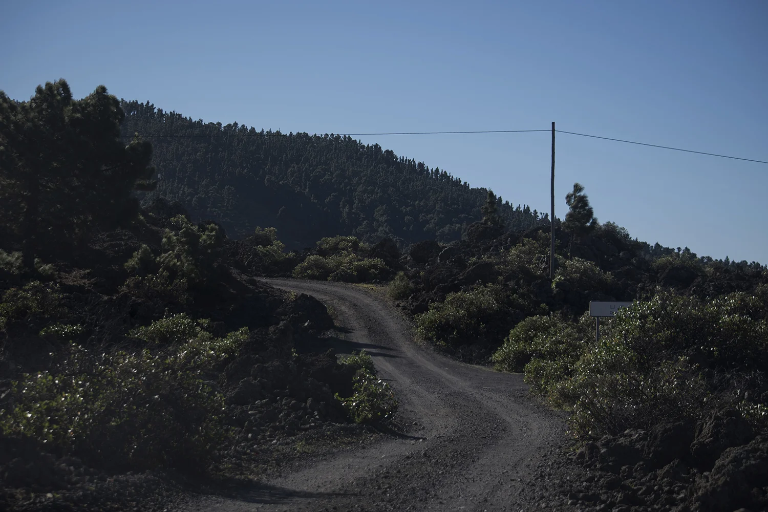 LaPalma_233.JPG