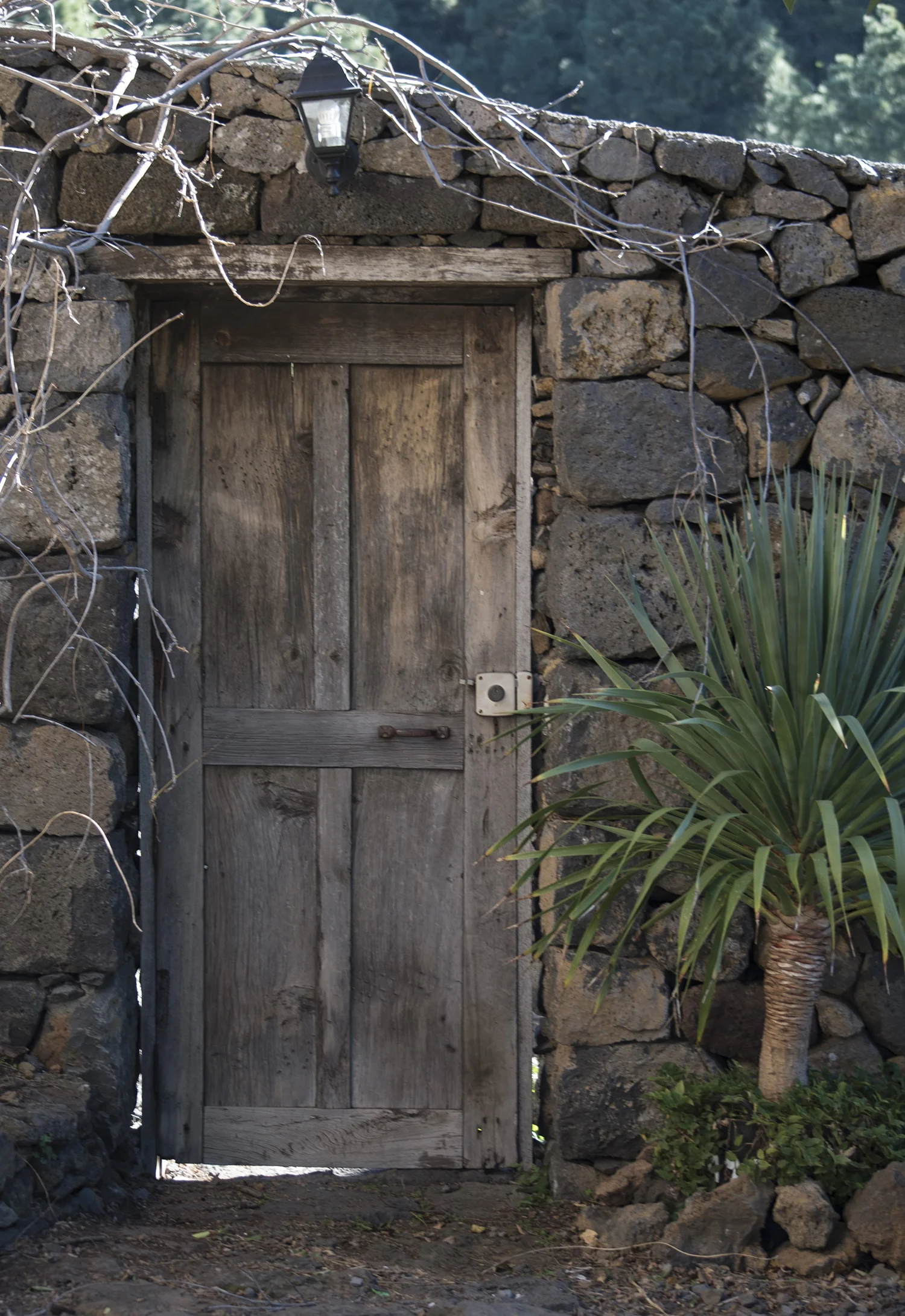 LaPalma_238.JPG