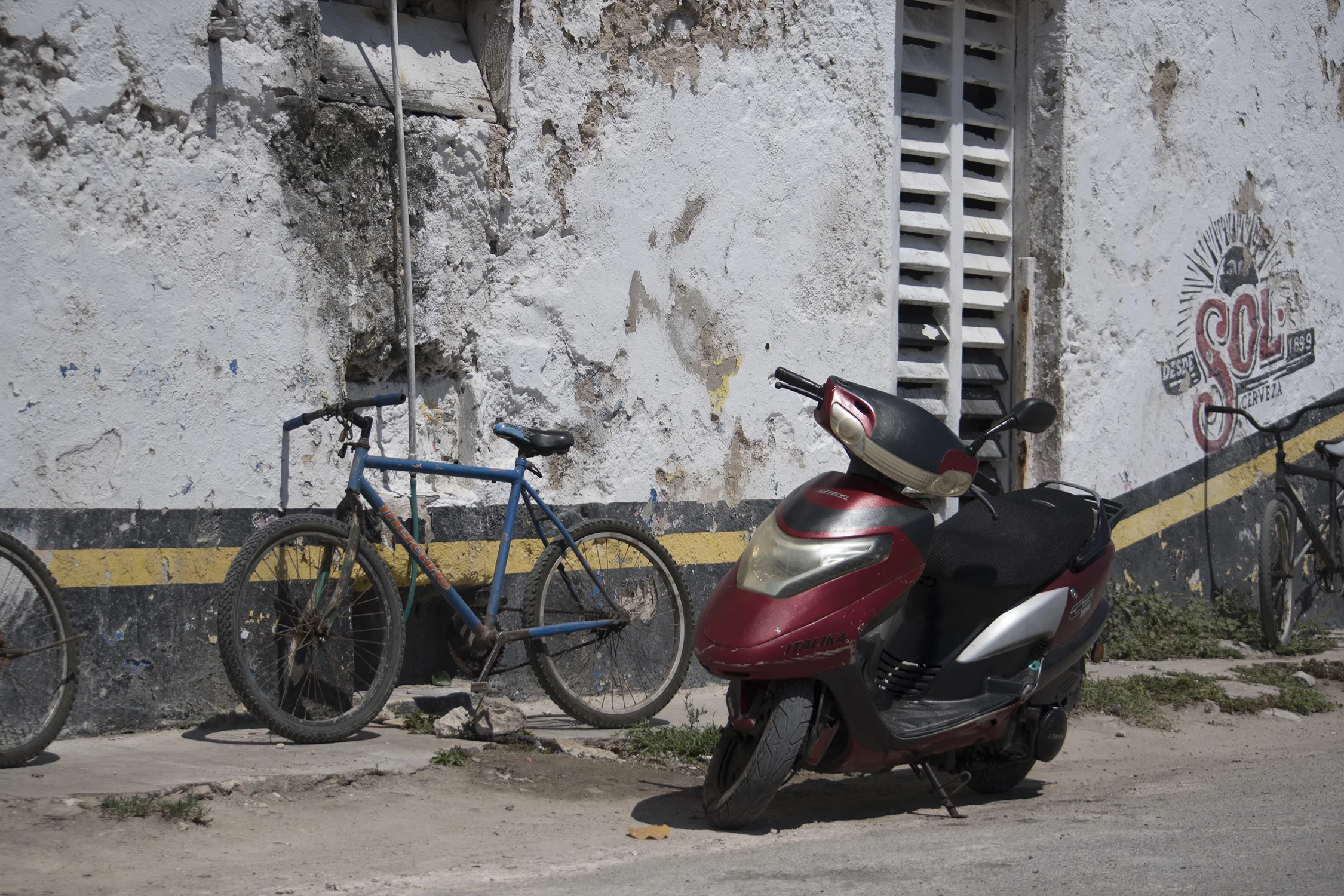 Riolargartos077.JPG