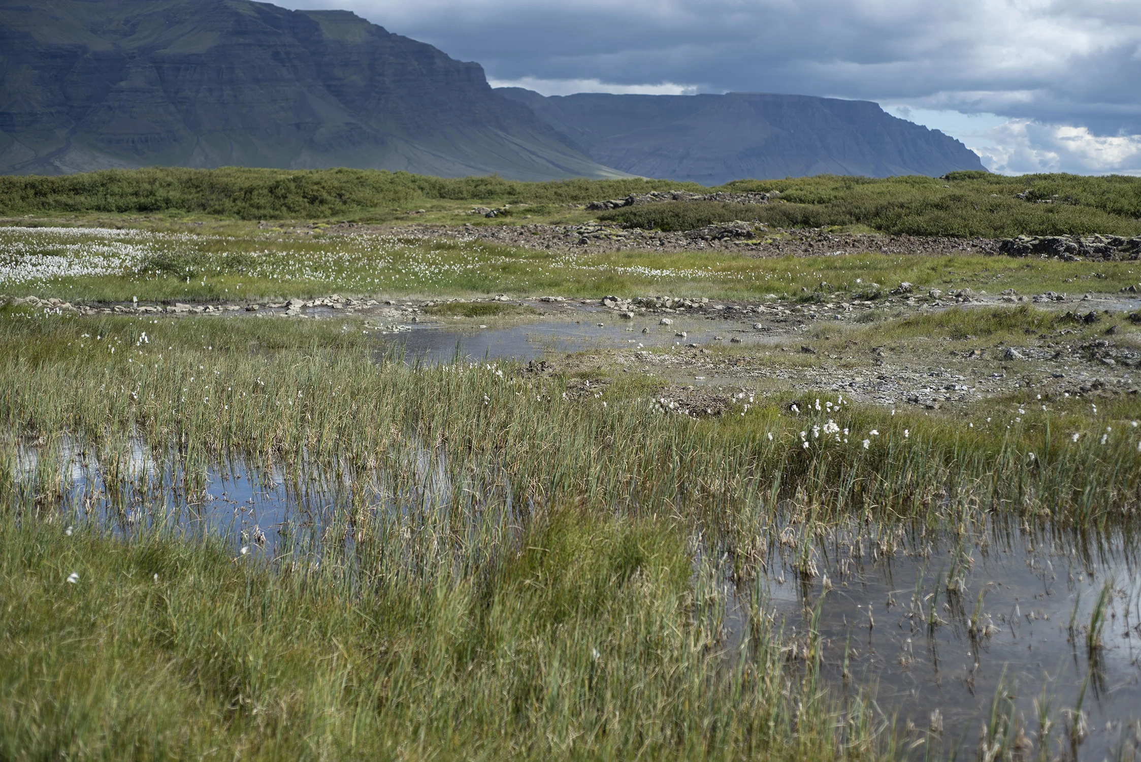 Iceland2018_026.JPG