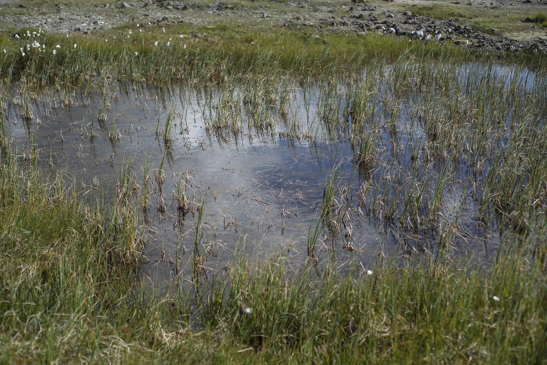 Iceland2018_027.JPG