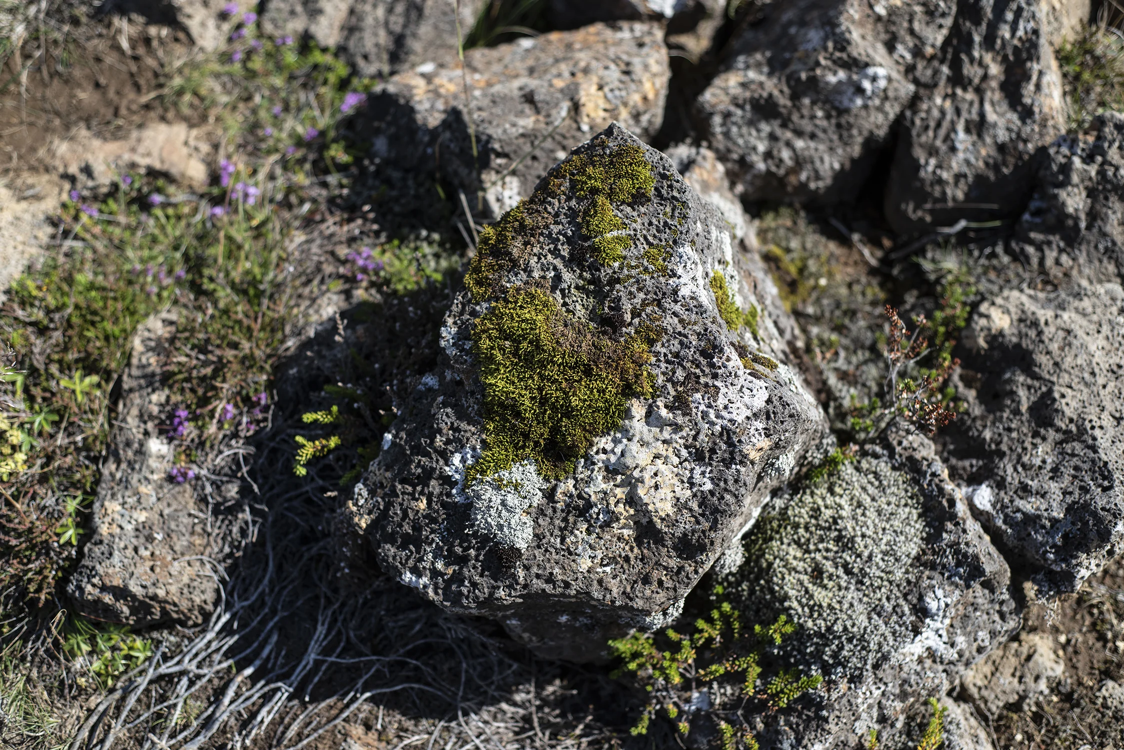 Iceland2018_031.JPG