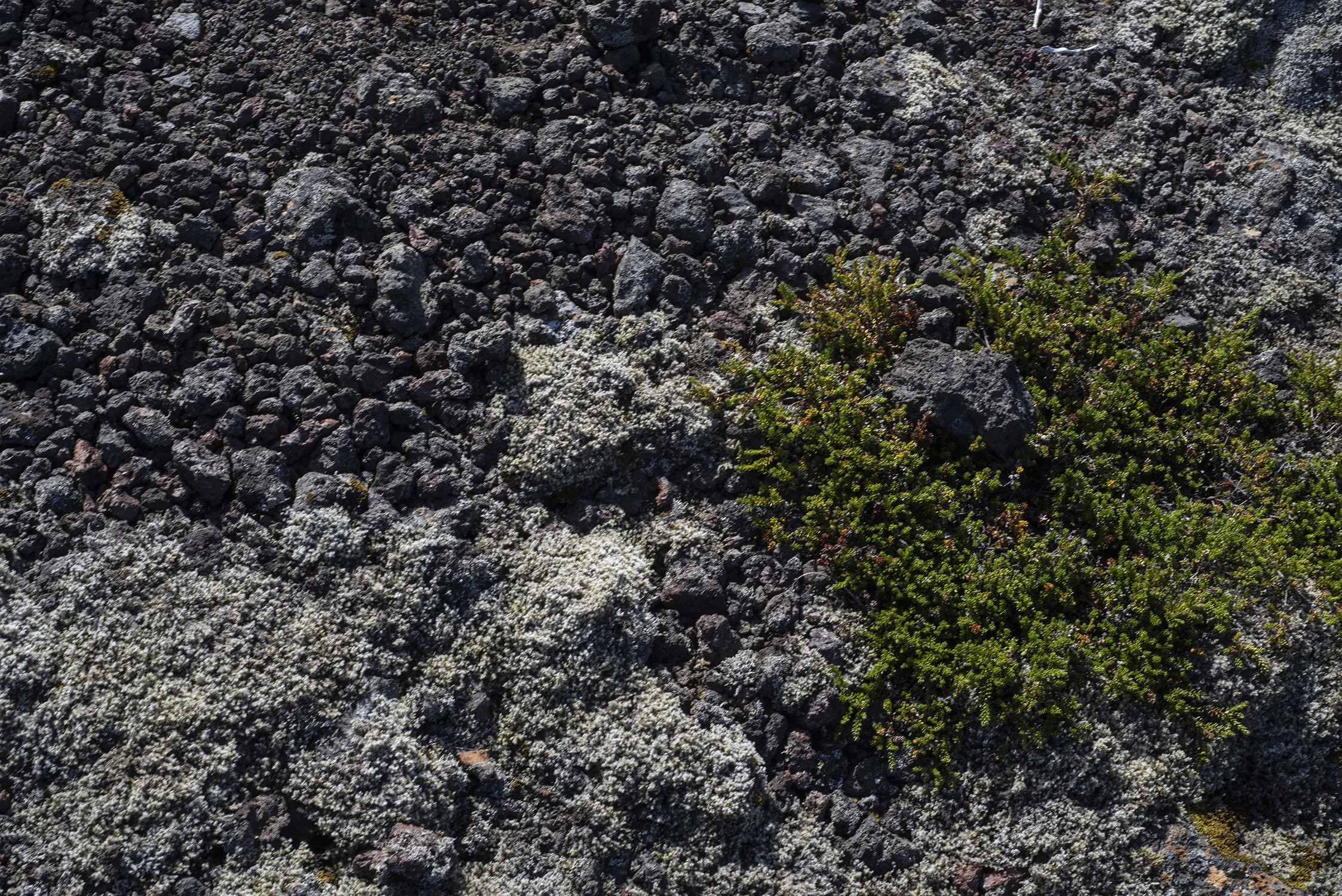 Iceland2018_157.JPG