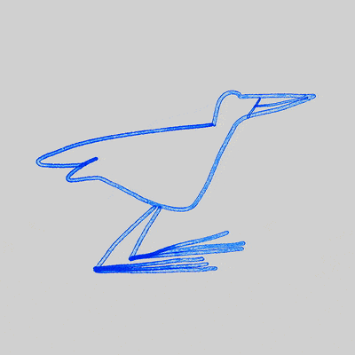 Bird_loop_v02.gif