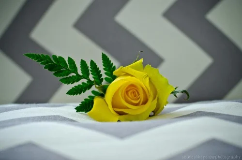 AMA_3411