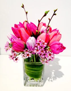Tulip and wax flower MD