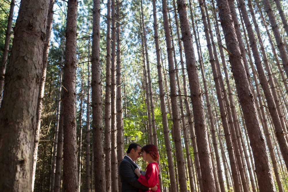 Toronto wedding photography kortright centre for conservation with soundslikeyellowphotography