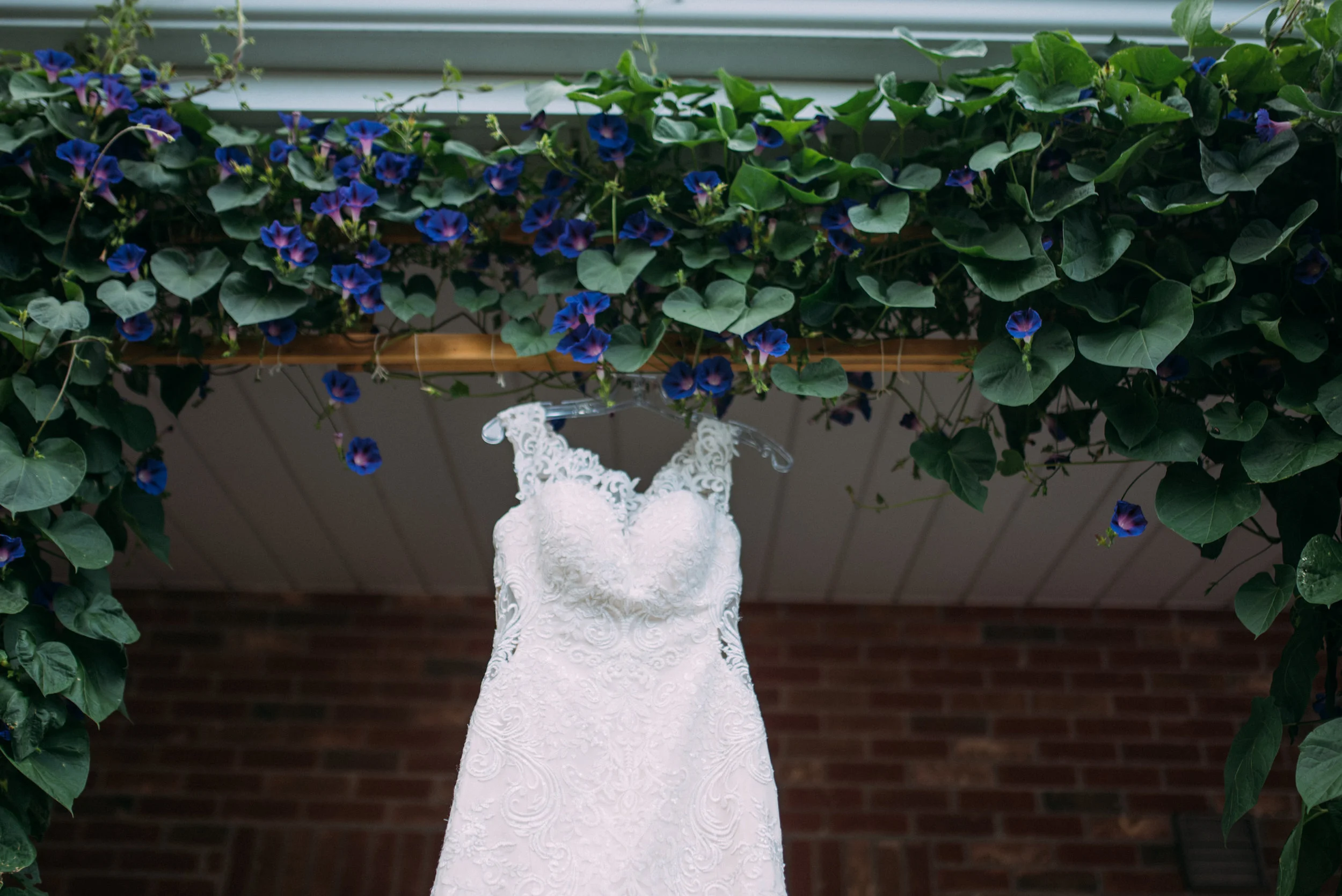 Milton backyard wedding with soundslikeyellowphotography