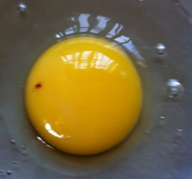 blood spot.jpg