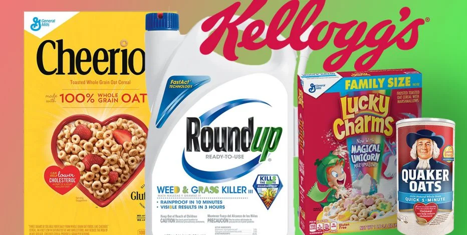 ROUNDUP4.jpg