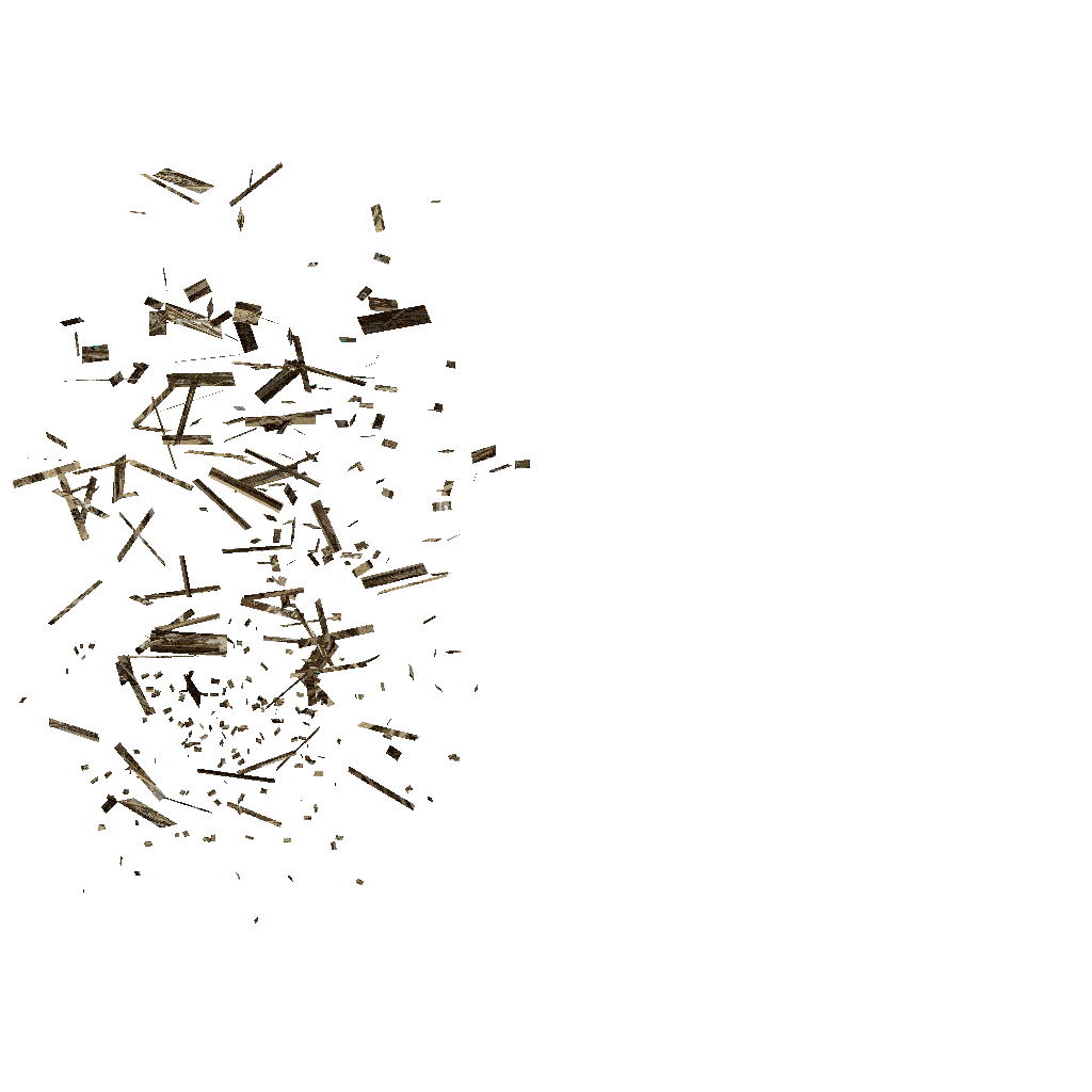  Collaborative work with Mad About Dance, Artistic Director Michiyo Tanaka, performance and Augmented Reality.  Bronx Community College, Bronx, NY. (2011) 