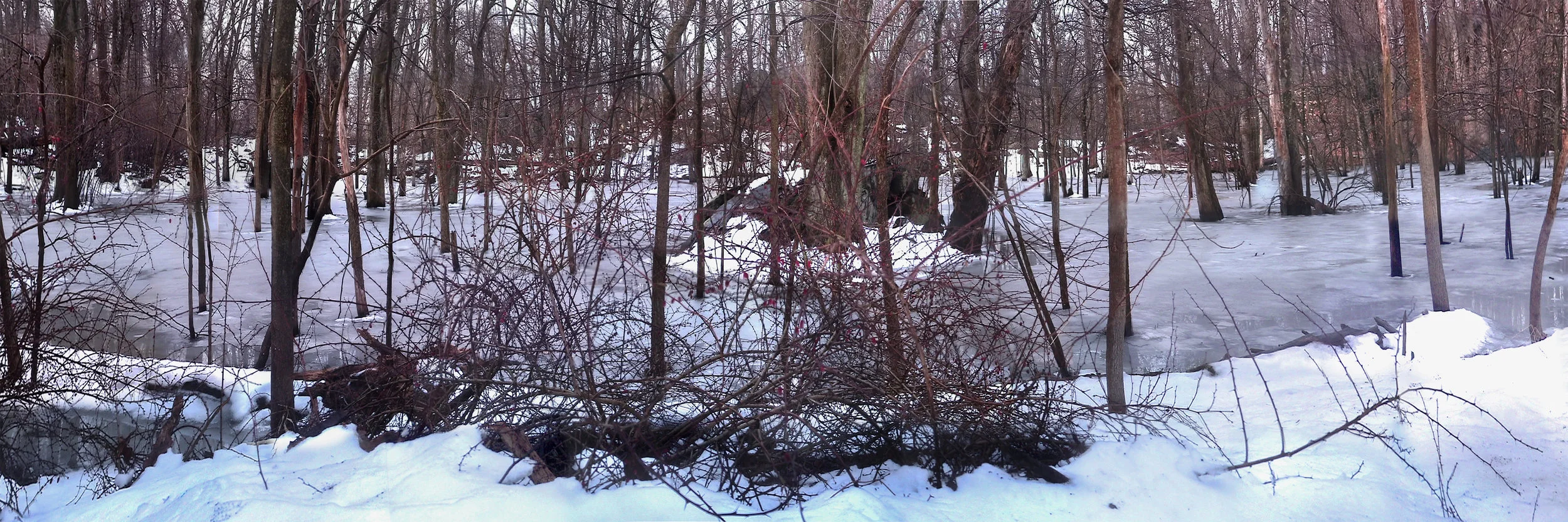  Frozen pond, Peekskill, NY. (2001) 