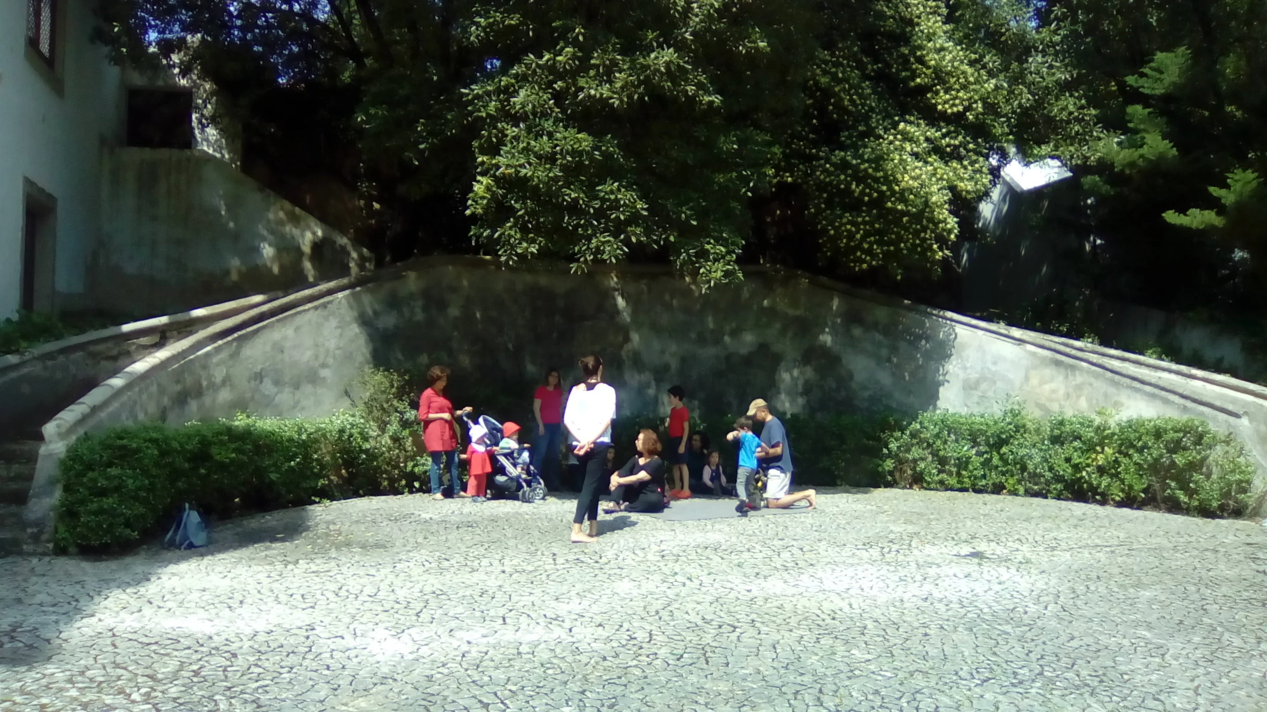 IMG_20180520_111047.jpg