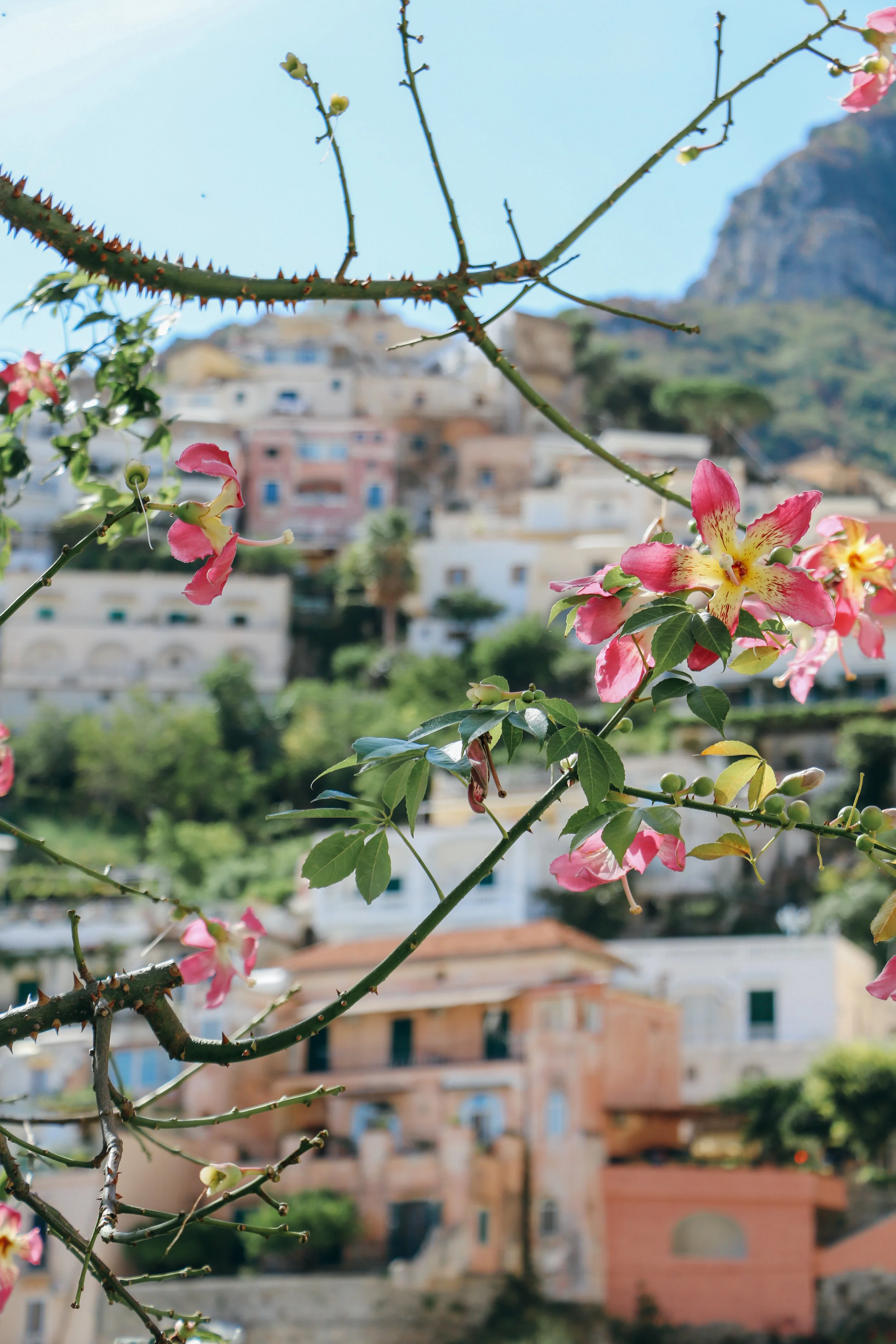 The Chic Traveler's Guide to Positano