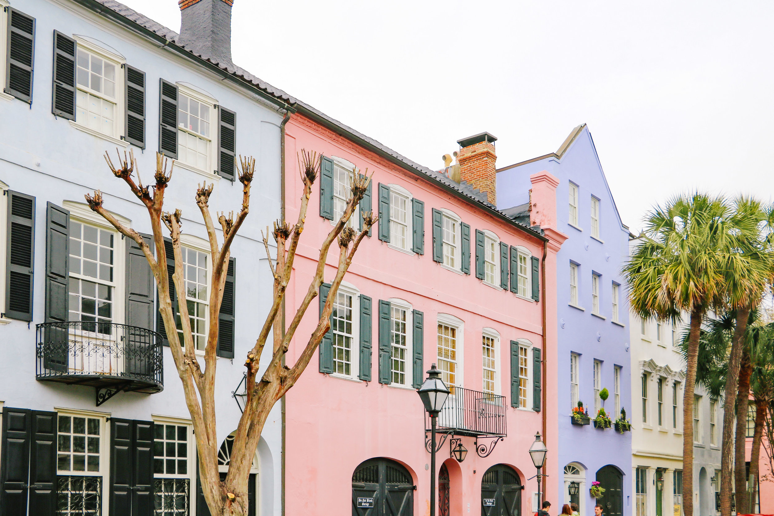 Must-See Streets in Charleston - by Courtney Brown