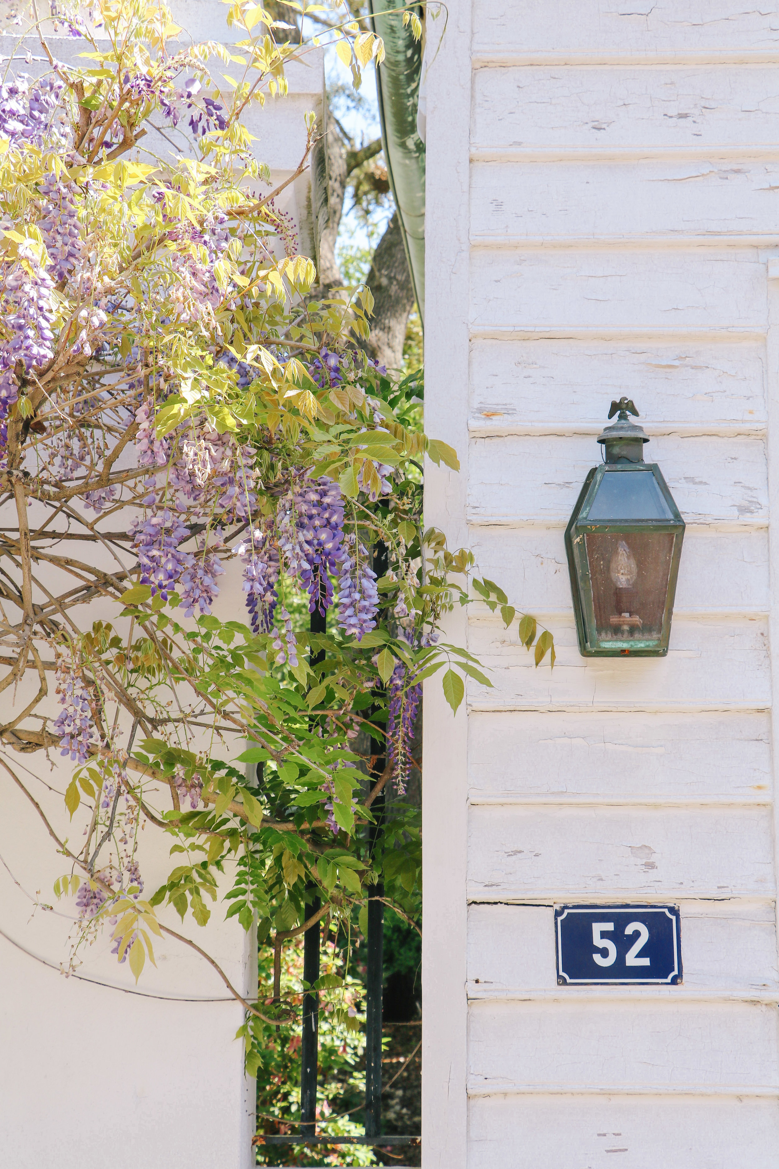 Must-See Streets in Charleston - by Courtney Brown