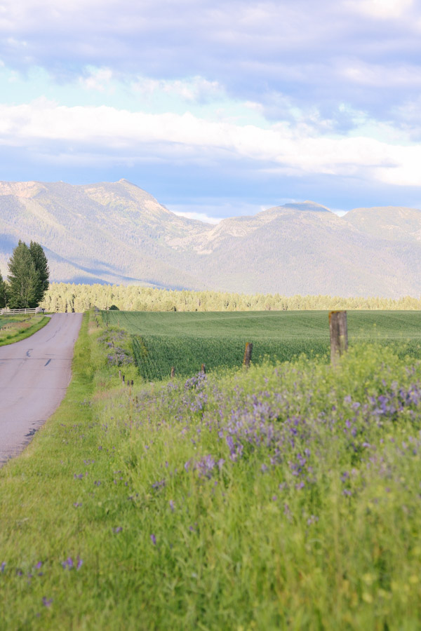 What To Do In Northwest Montana - by Courtney Brown