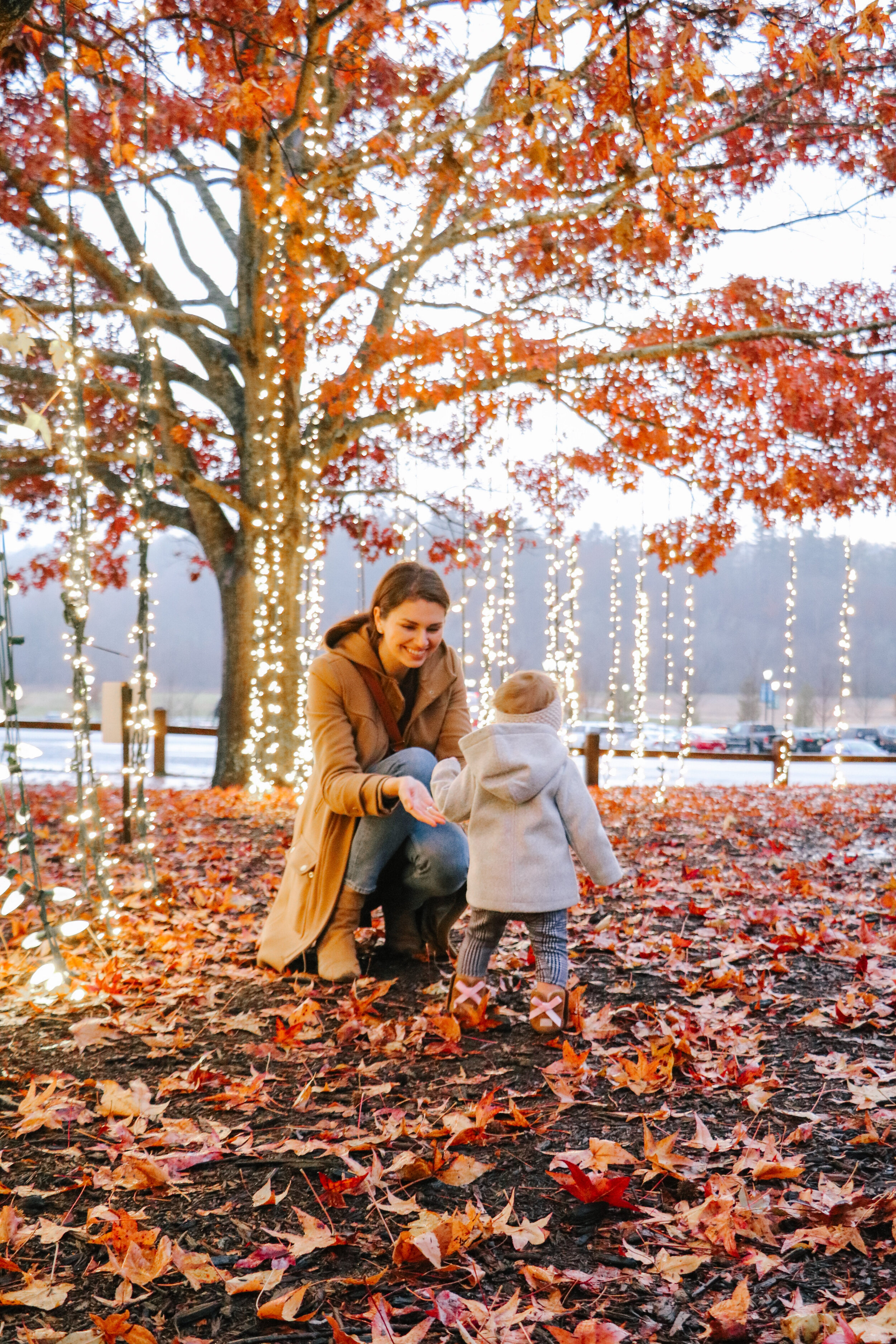 Christmas at Biltmore Estate