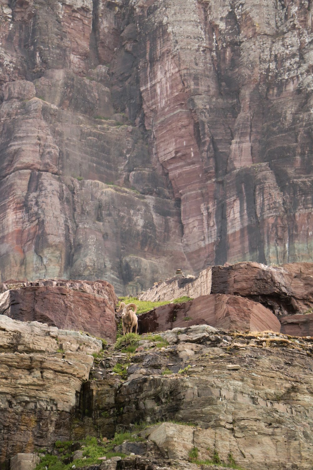 Glacier Guide: Best Hikes For Families - by Courtney Brown