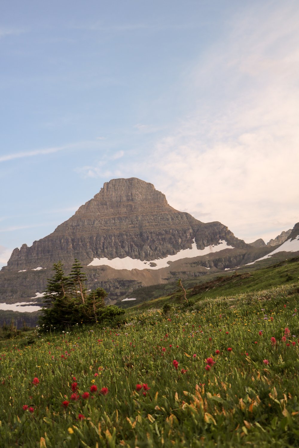 Glacier Guide: Best Hikes For Families - by Courtney Brown