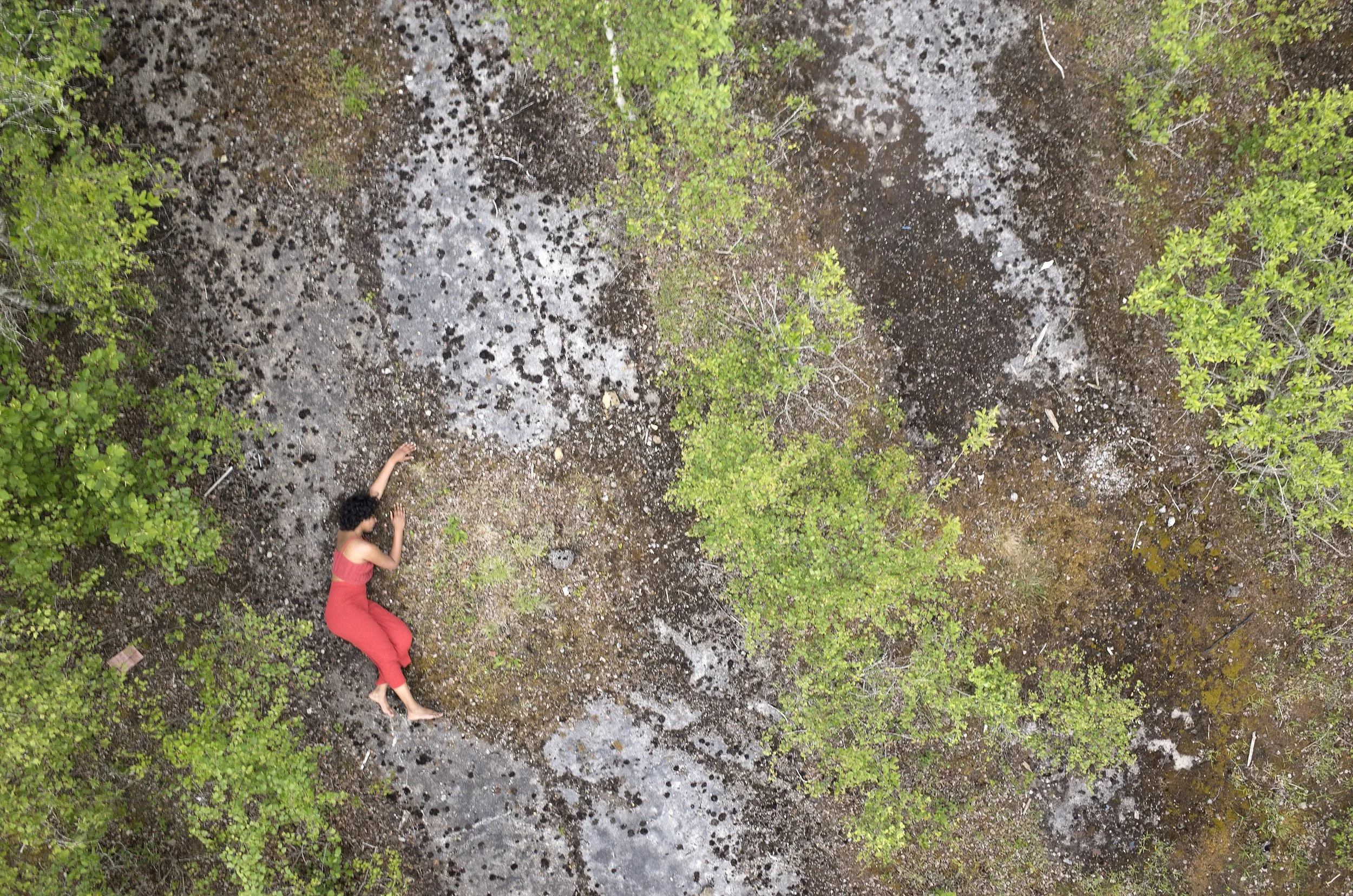  Hamshya Rajkuma_Ravenscraig_moss-hug_Drone_STILL_FMc_0012.jpg