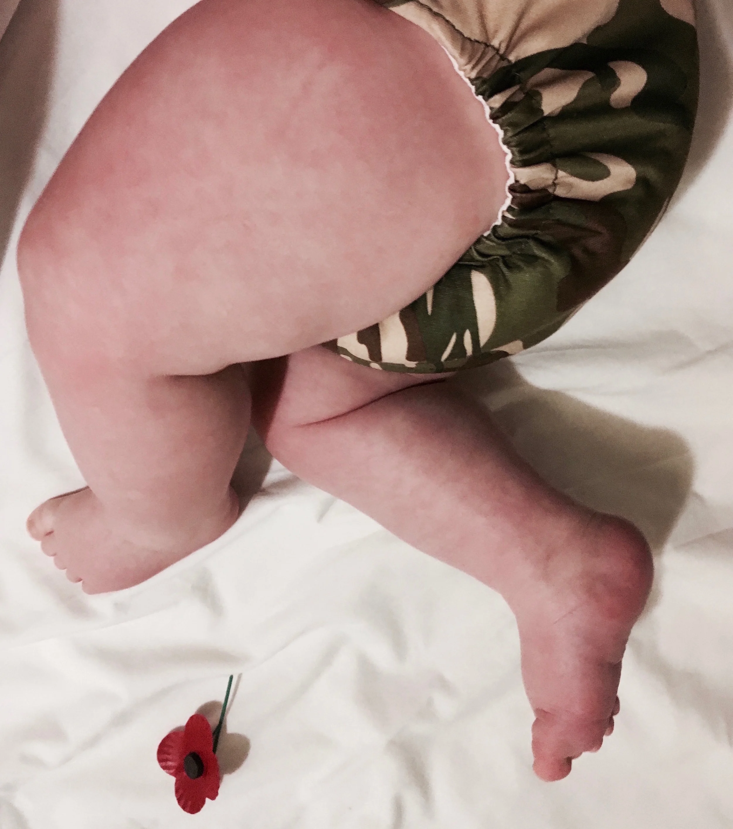 WAAPP_original image.jpeg