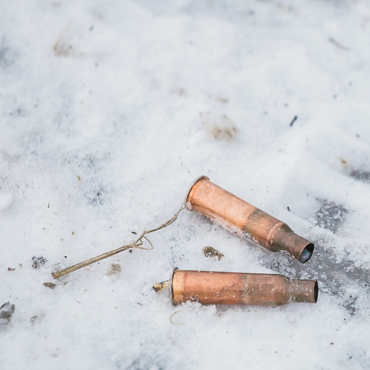 TomorrowUnderSnow-Image1.2MB.jpg
