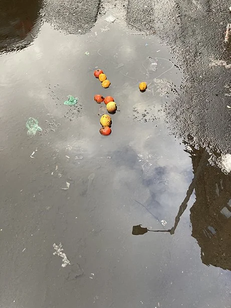  Red and orange fruit on the ground in a puddle on concrete road. In the reflection of the puddle a streetlamp and tenement building can be seen. 