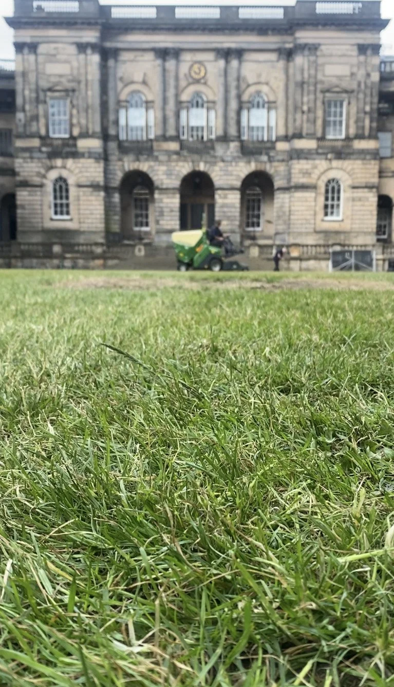 UNIVERSITY EDINBURGH LAWN_EDINBURGH.jpg