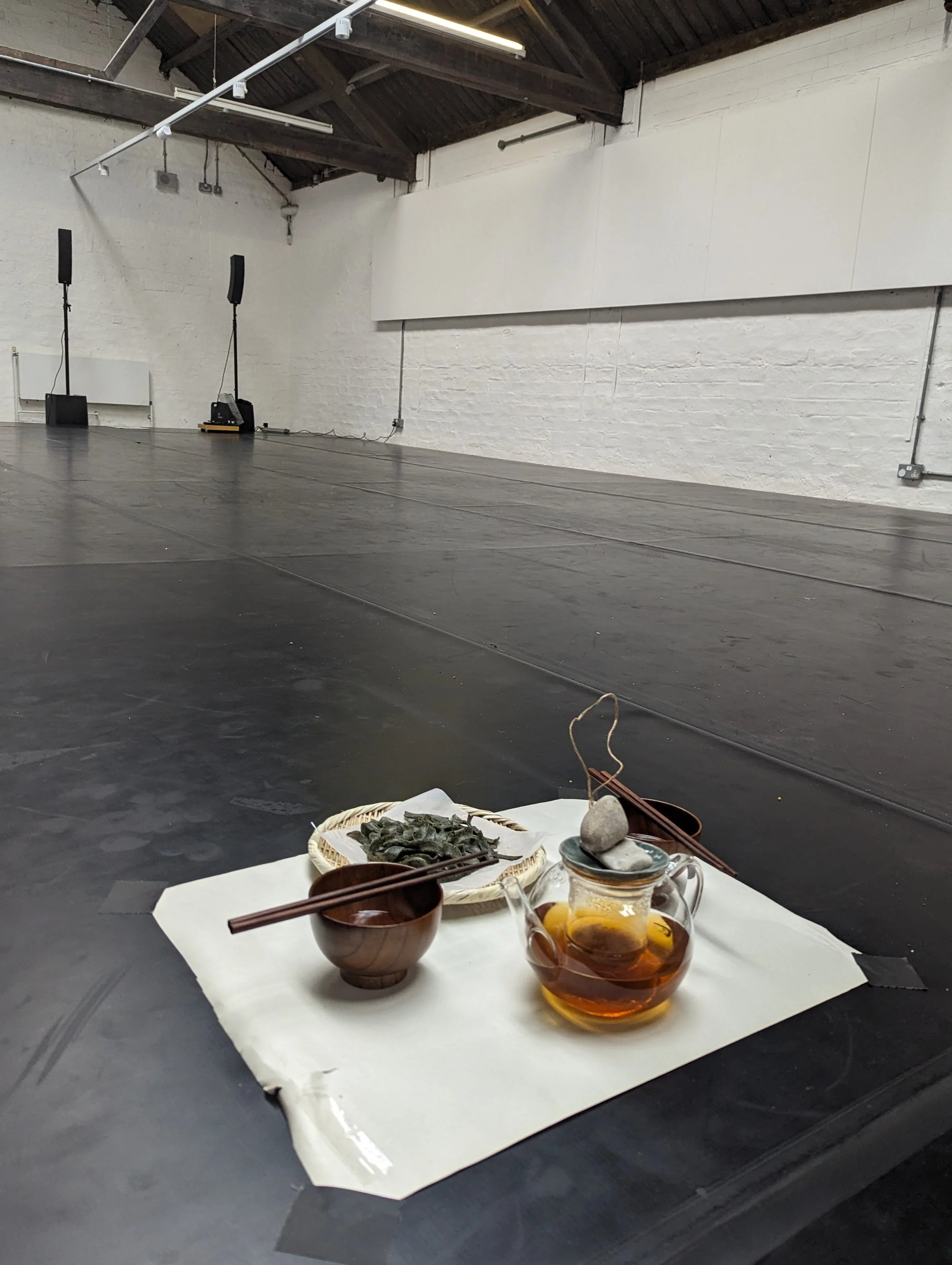  Ieva Grigelionyte's time in Studio Somewhere