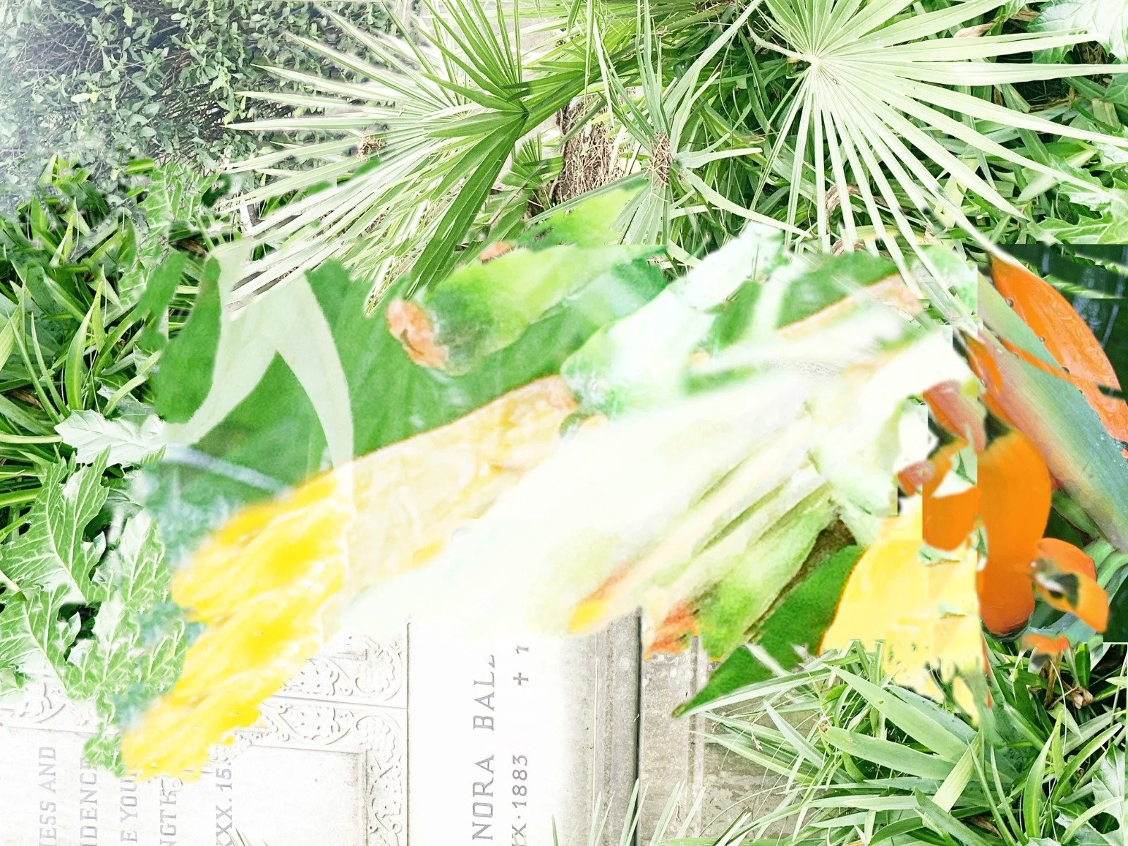 Studio Somewhere: Autumn Workshops