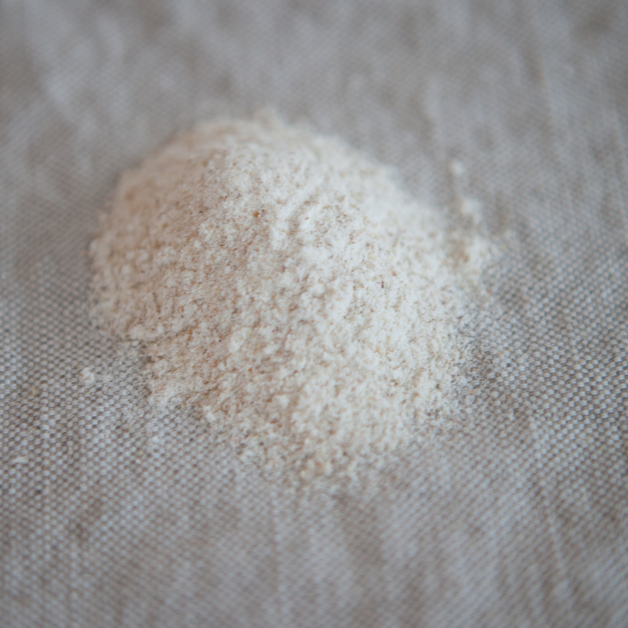 Farine blé entier  (en vrac par 100g)