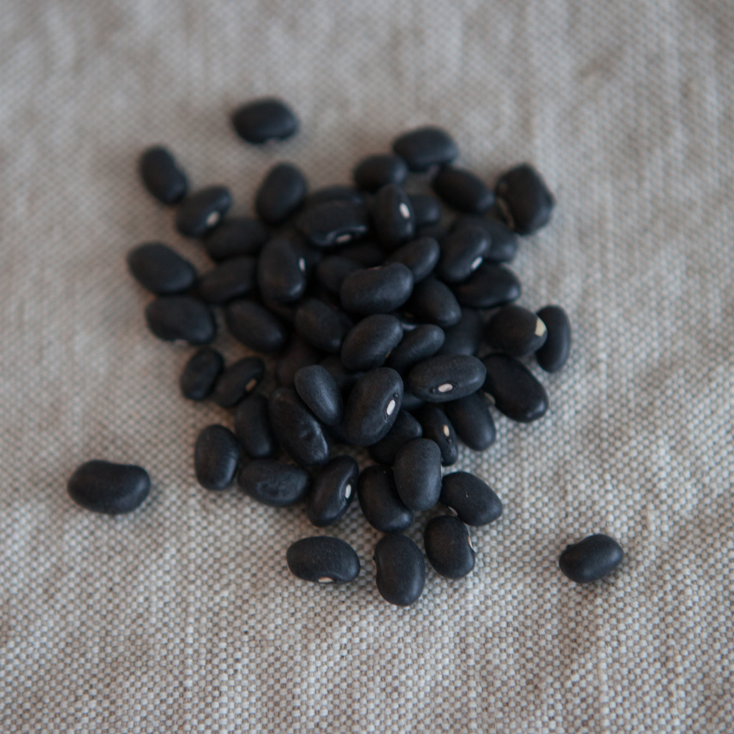 Haricots Noirs (en vrac par 100g)