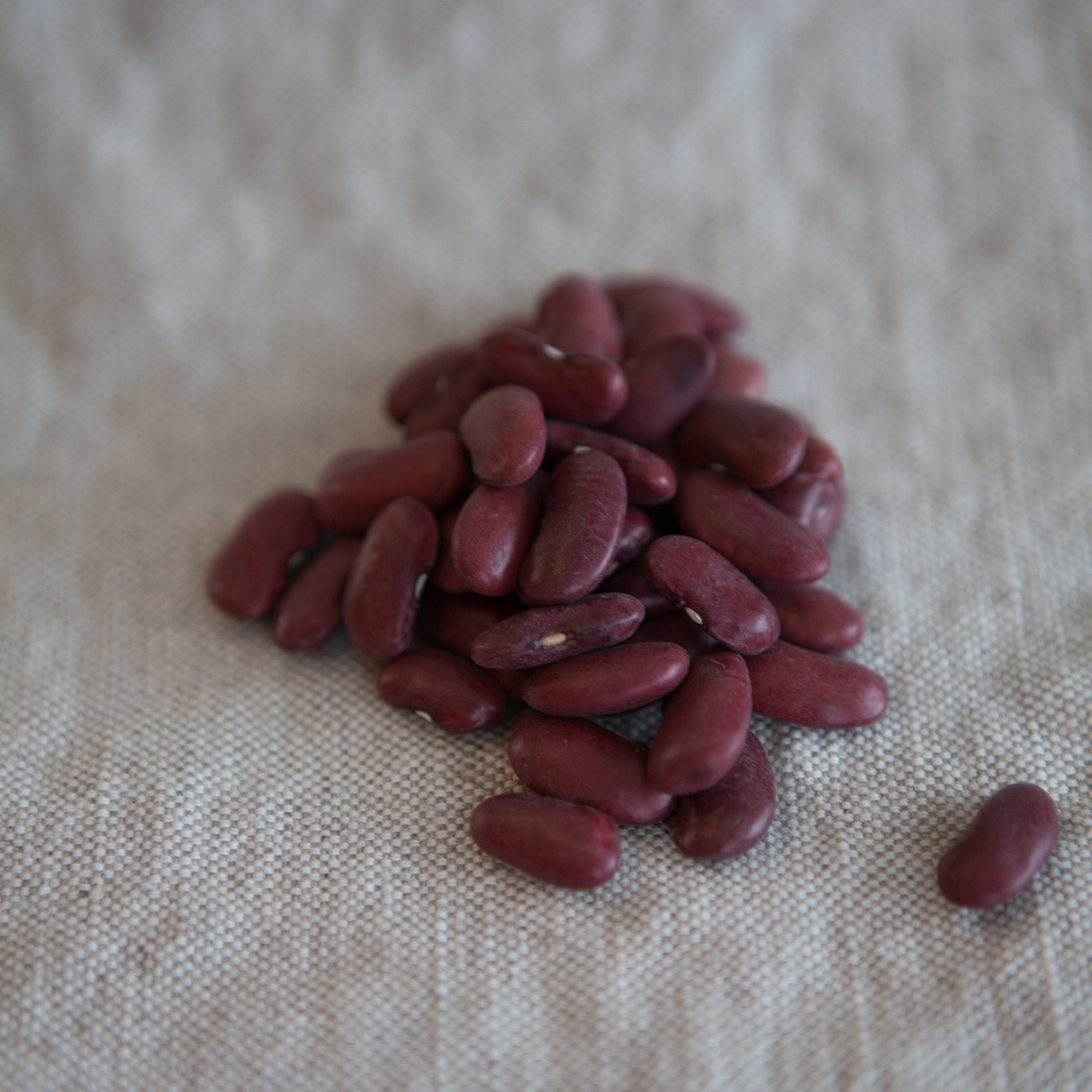 Haricots rouges (en vrac par 100g)