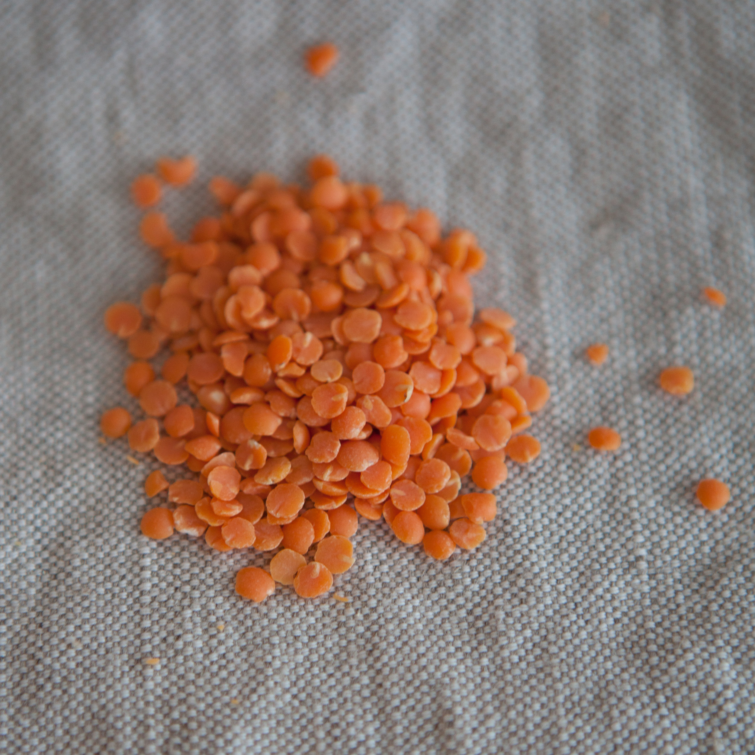 Lentilles Rouges fendues (en vrac par 100g)