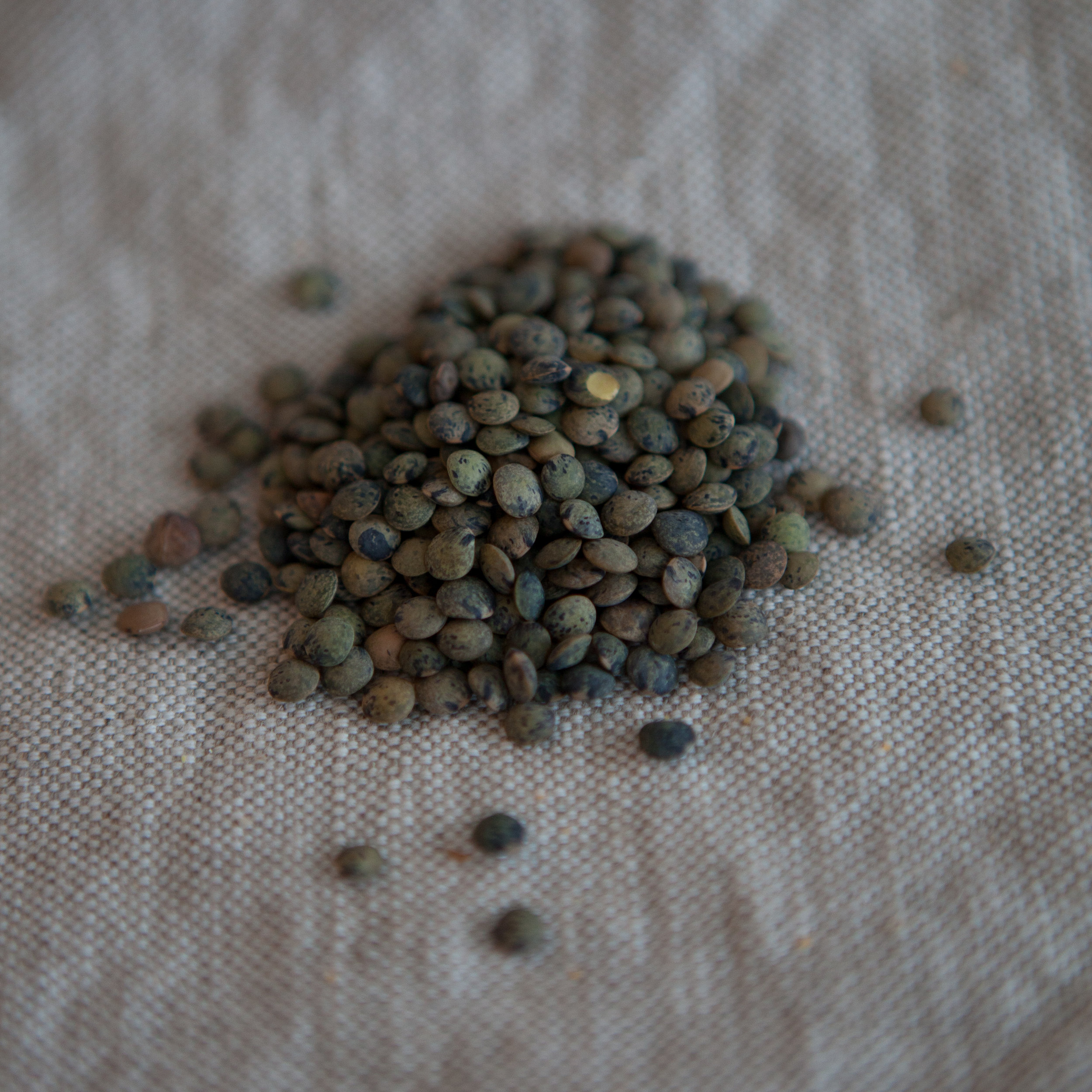 Lentilles Vertes Françaises (en vrac par 100g)