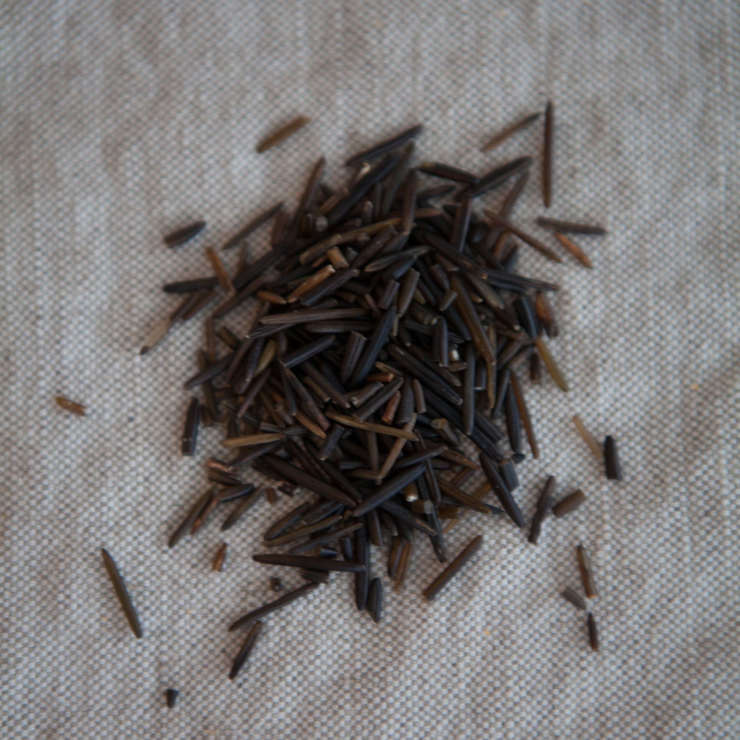 Riz sauvage  (en vrac par 100g)