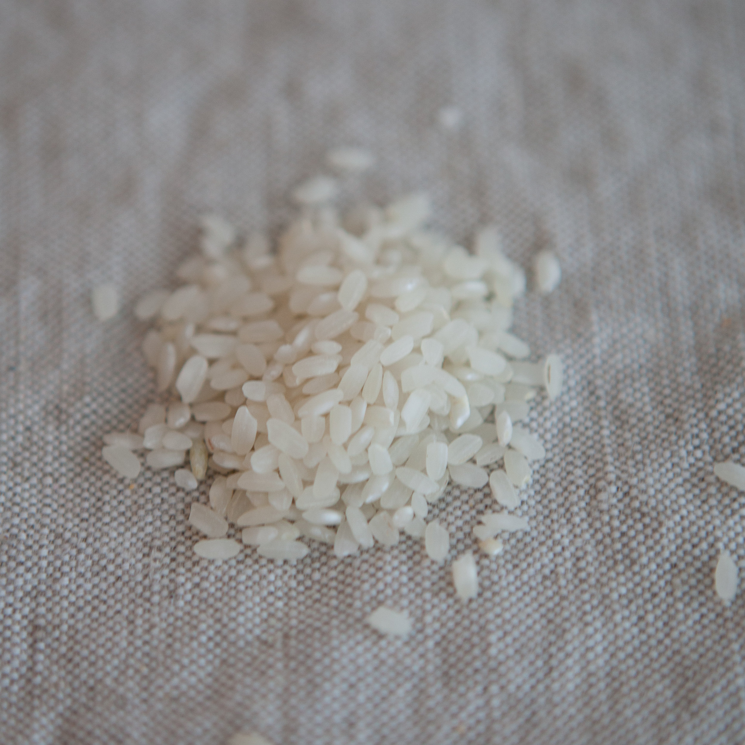 Riz Arborio (en vrac par 100g)