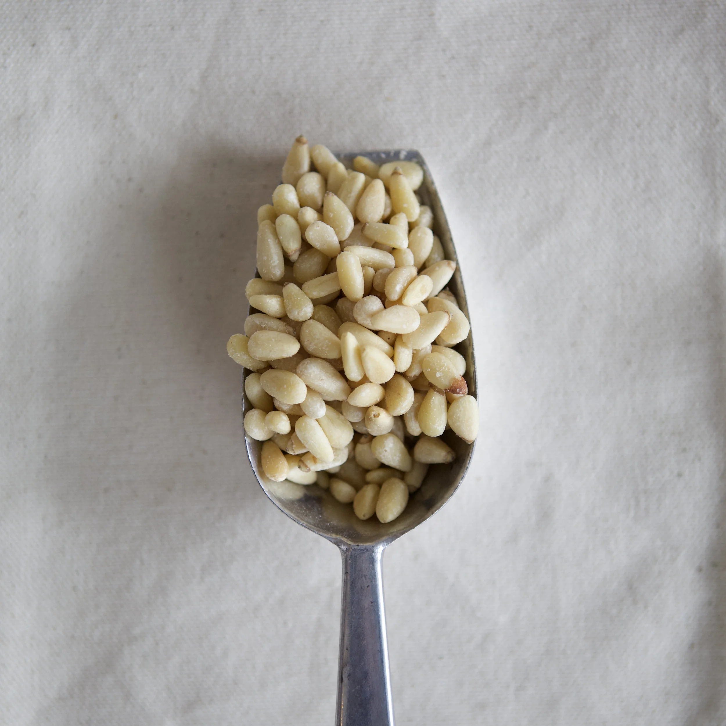 noix de pin-simplementvrac.jpg