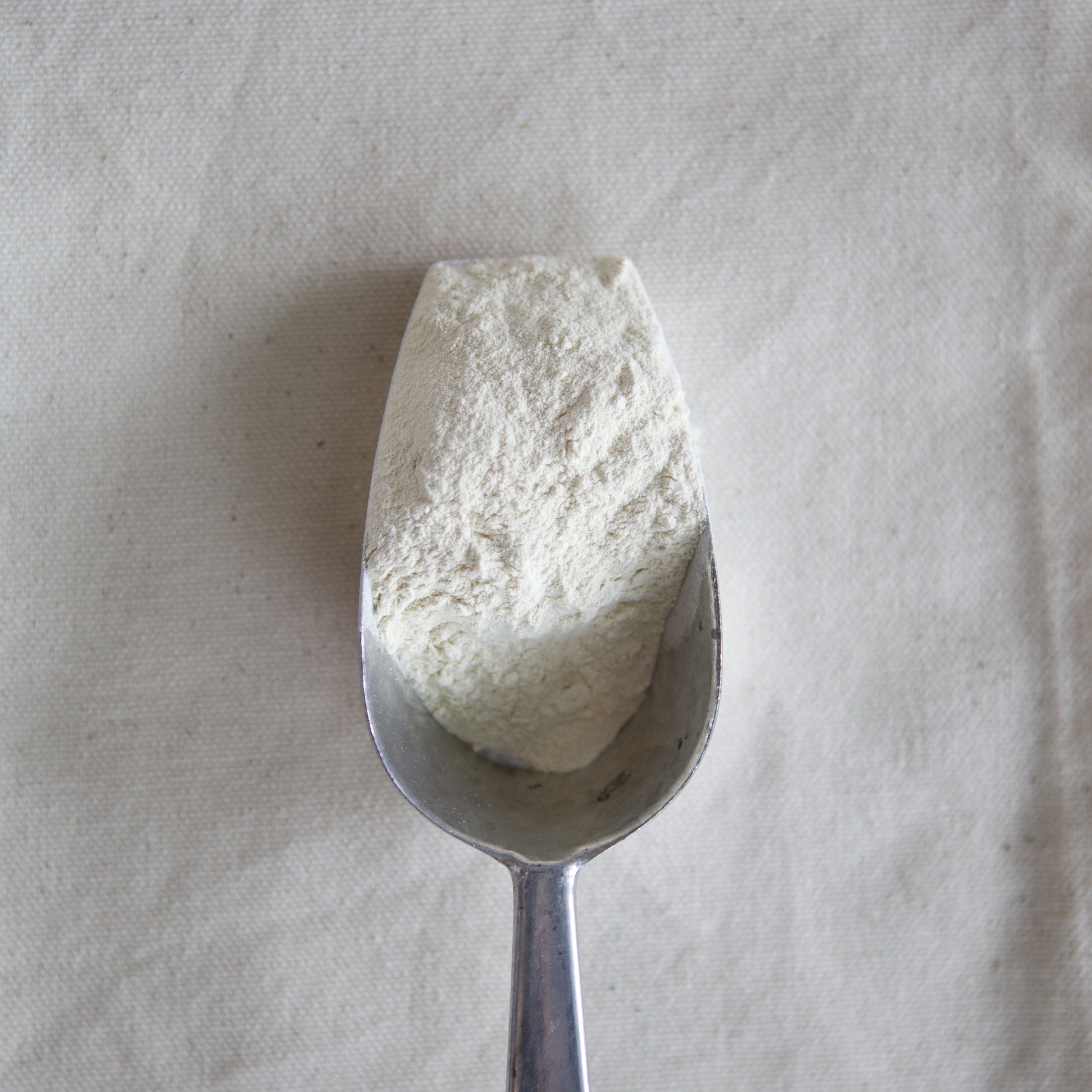 Gomme de xanthane (en vrac par 10g)