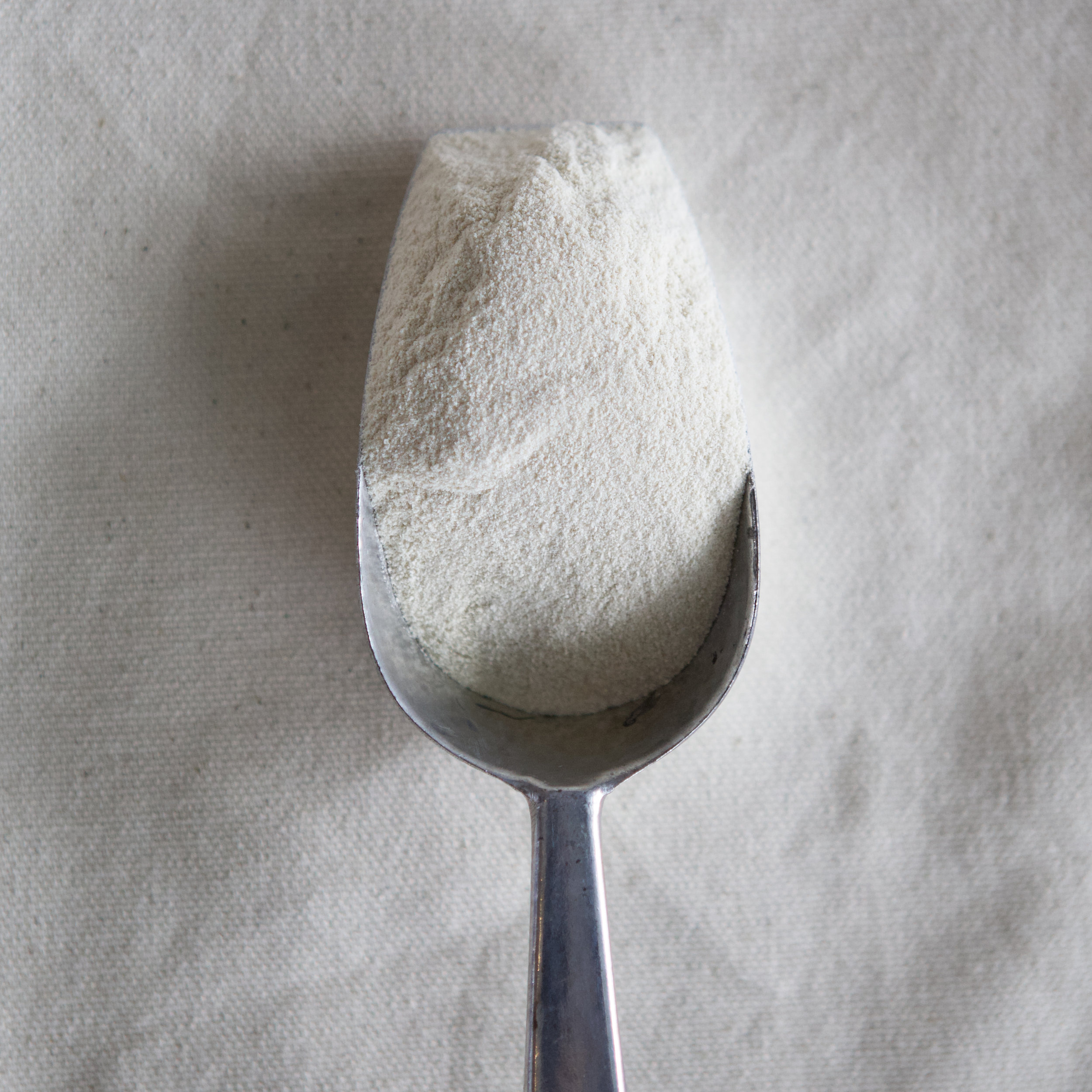 Agar-Agar (en vrac par 10g)