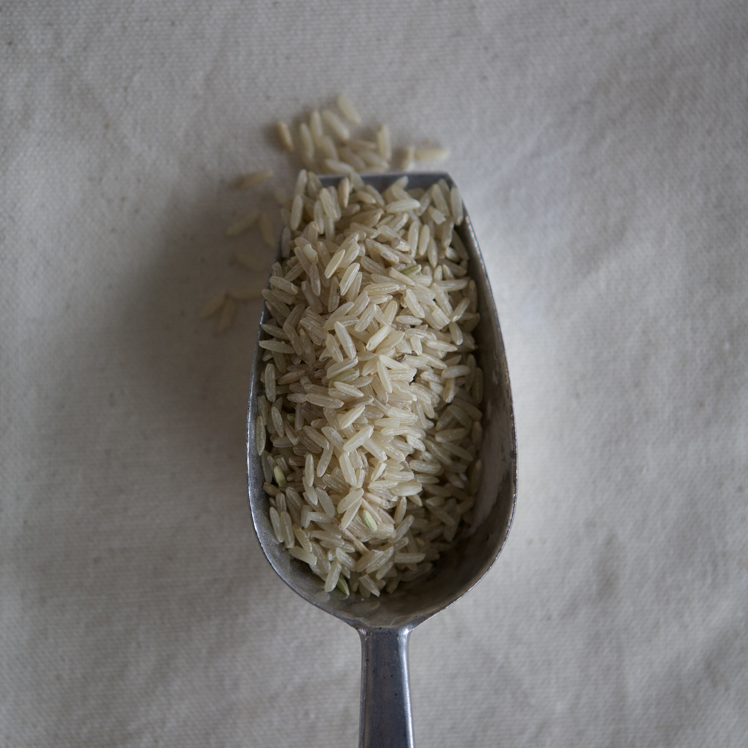 Riz brun à grains longs (en vrac par 100g)